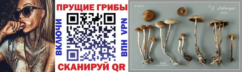 Галлюциногенные грибы прущие грибы  дарнет шоп  MEGA как зайти  Белоусово 